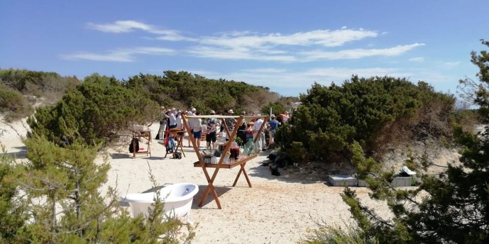 Fiestas en las dunas protegidas del parque natural de es Trenc