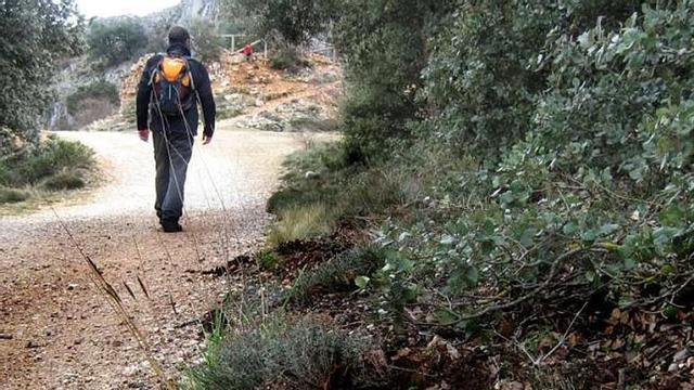 Imagen de terrenos de la Font Roja escarbados por los jabalíes