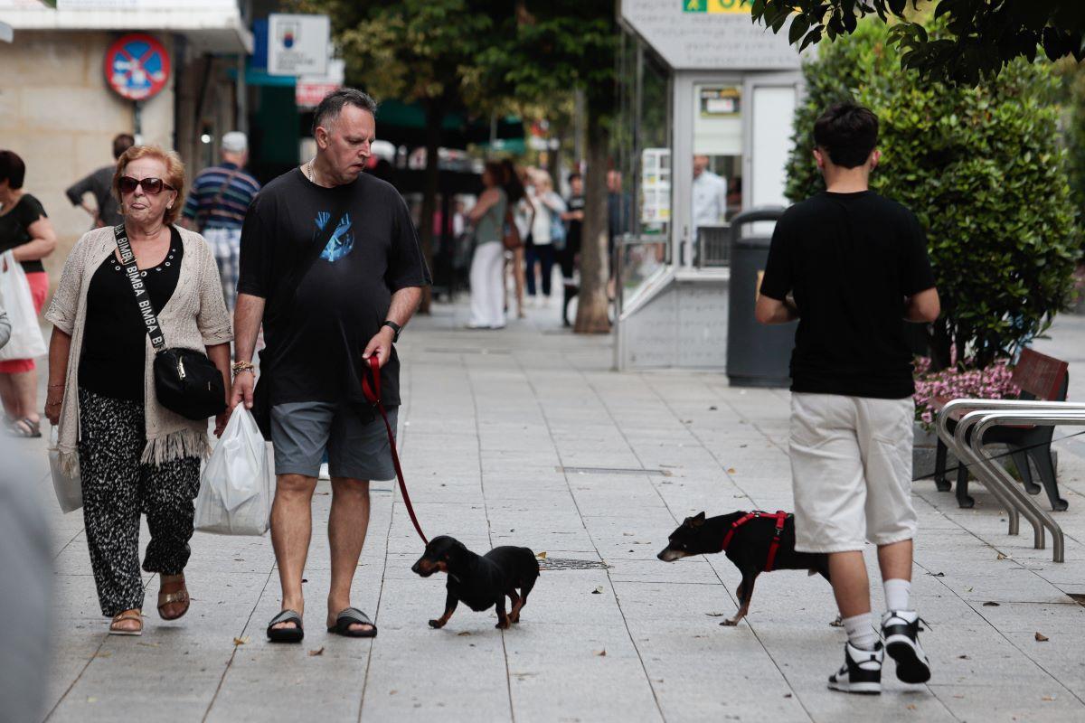 Esto es lo que dice la LPH sobre prohibir mascotas en edificios.