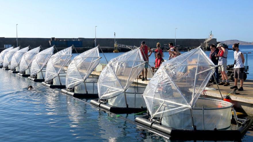 El mar canario acoge las primeras pruebas de secuestro de CO2 con rocas