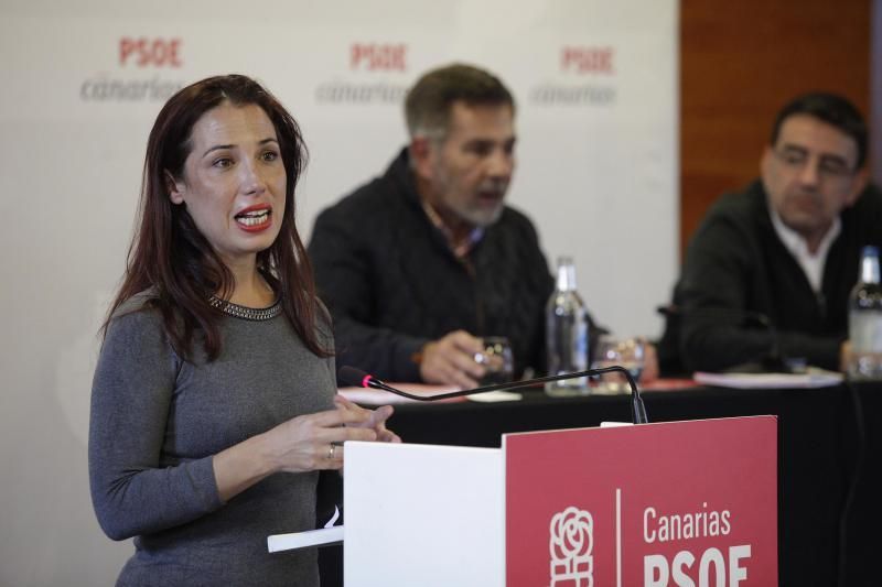 Encuentro de los socialistas canarios