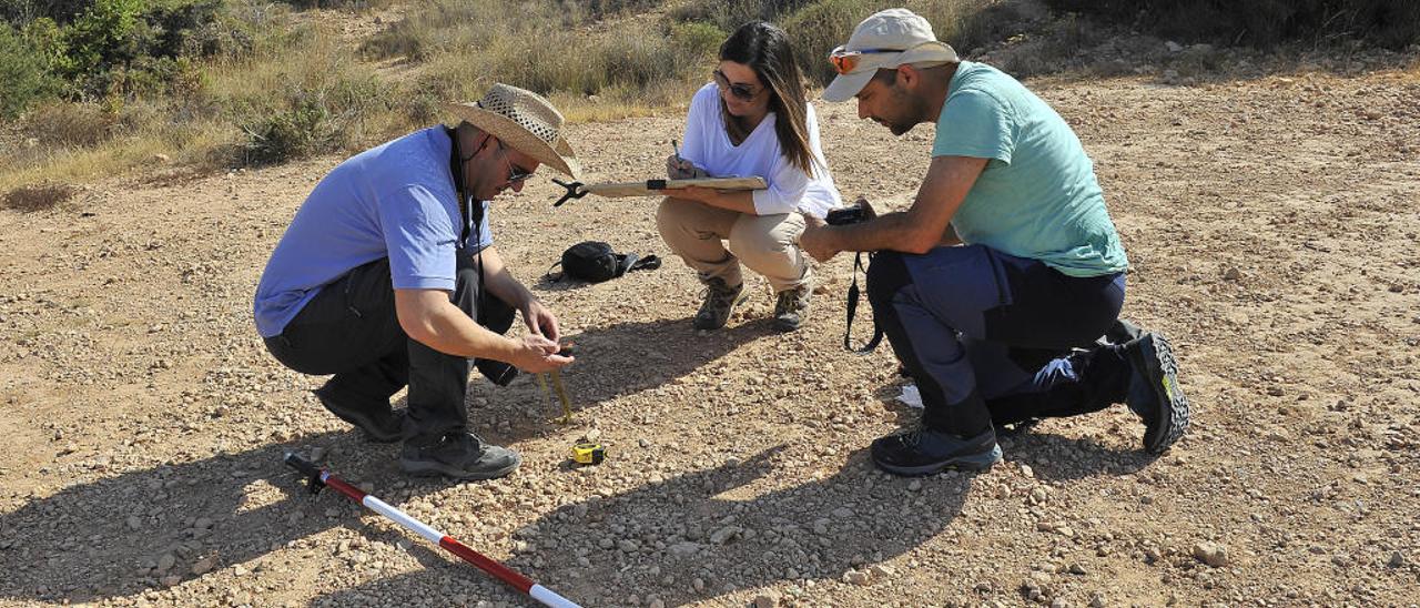 Arqueólogos documentan el primer poblamiento humano en Santa Pola de hace más de 45.000 años
