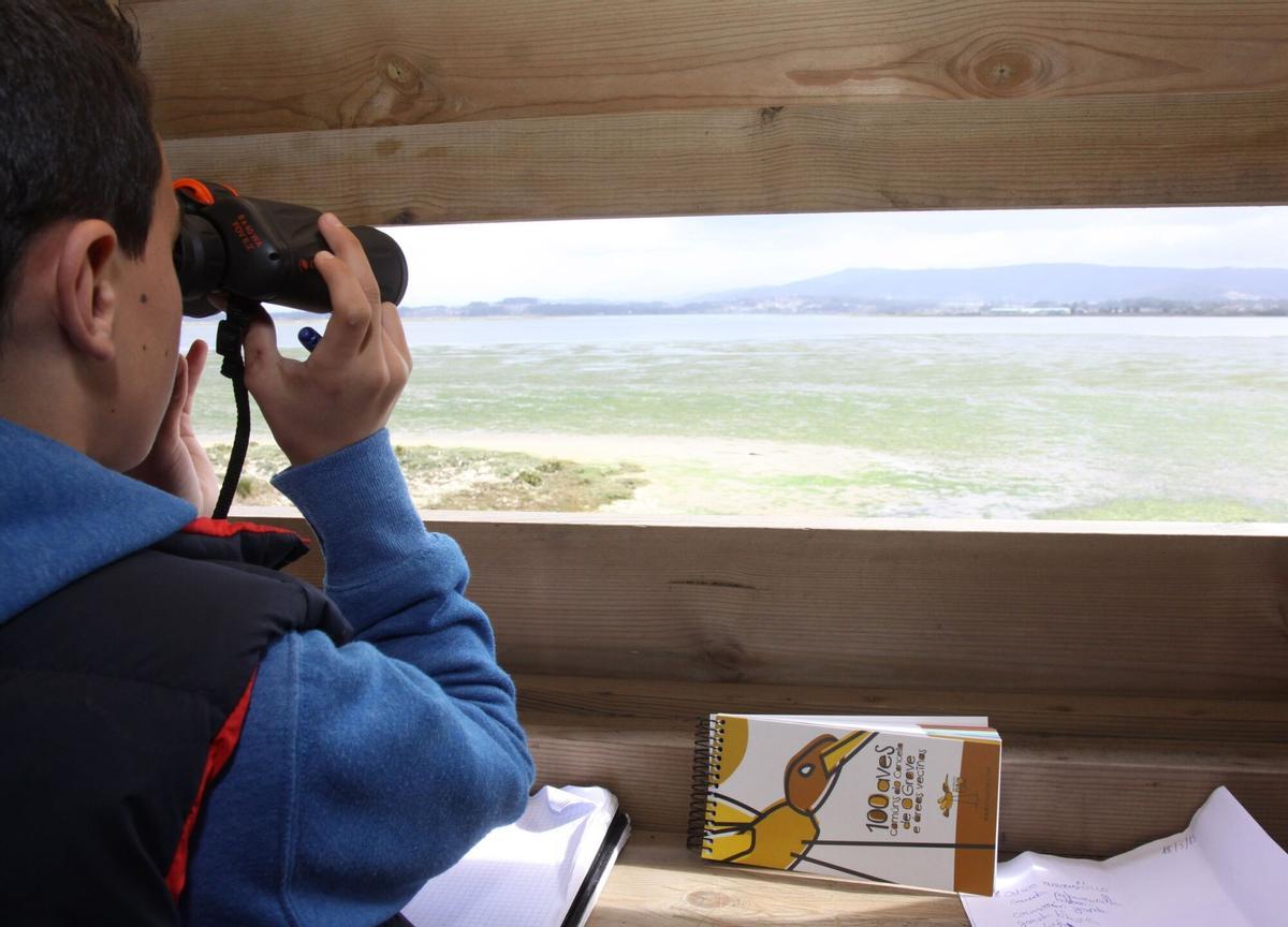 ALUMNOS DEL IES MONTE DA VILA PARTICIPAN EN UNA JORNADA DIDACTICA ORGANZADA POR EL CONCELLO DE O GROVE Y LA SOCIEDAD ESPAÑOLA DE ORNITOLOGIA ( SEO / BIRDLIFE ), EN EL ISTMO DE A LANZADA. INSTITUTO DE EDUCACION SECUNDARIA. COMPLEJO INTERMAREAL UMIA - O GROVE. DIVULGACION. ORNITOLOGIA. ESTUDIANTES. AVES. PAJAROS. SOCIEDAD ESPAÑOLA DE ORNITOLOGIA. PIO, PROYECTO DE INVERSION ORNITOLOGICA. MAR. NATURALEZA. O BAO. AULA DE INTERPRETACION DE LA NATURALEZA DE MONTE SIRADELLA. O VAO. OBSERVATORIO. MIRADOR. CASETA