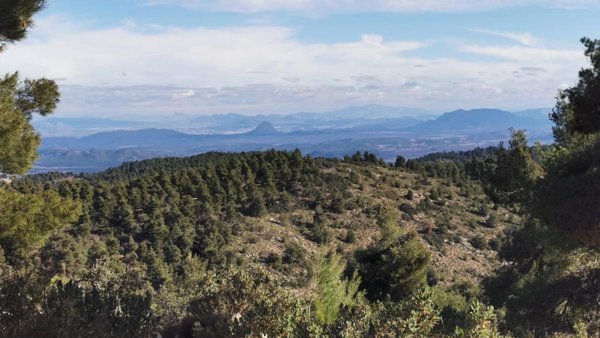 Día de los Montes