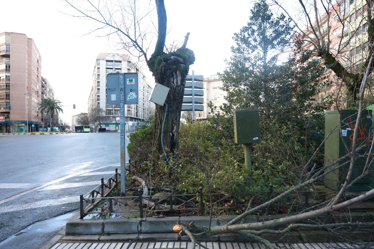 El drama de Médco Sorapán: la borrasca en Cáceres El drama de Médco Sorapán: la borrasca en Cáceres