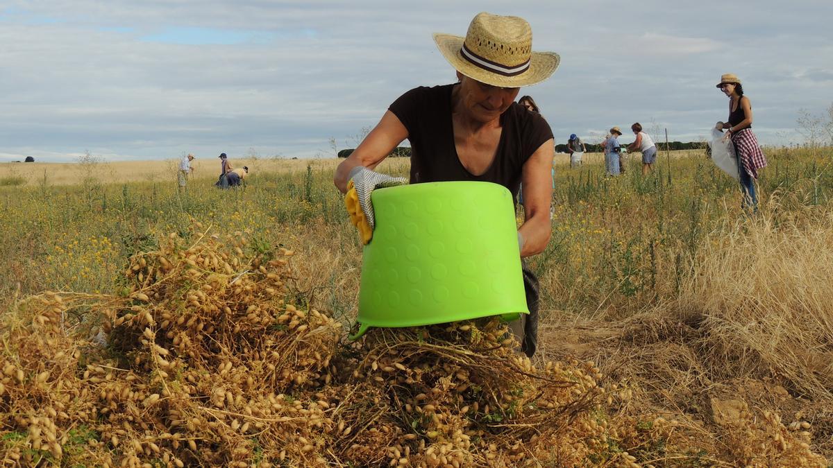 Mujer rural.