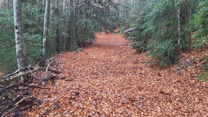Así avanza el proyecto de limpieza y recuperación de senderos de la Comarca de Sobrarbe