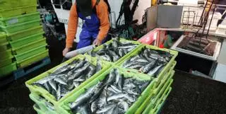 El alza de costes y la caída del consumo empuja al cierre a veinte pesqueras desde la pandemia