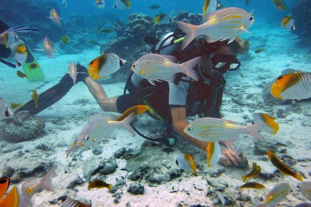 Además de sol y playas, las Cook también proponen esnórquel, pesca, compras y caminatas por el encrespado interior volcánico de la isla de Rarotonga.