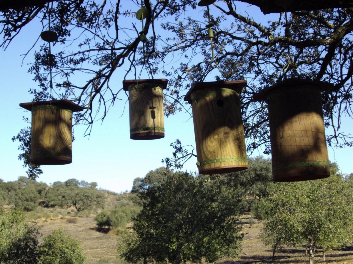 Cajas nido para aves en una dehesa de Andalucía.