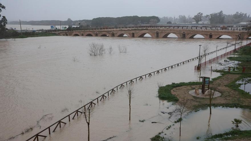 Continúan los desalojos en Jerez por la crecida del río Guadalete