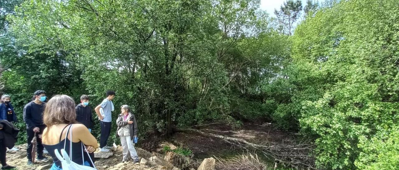Alumnos de Teis acudieron hace unos días hasta el lugar arqueológico catoirense. | // FDV