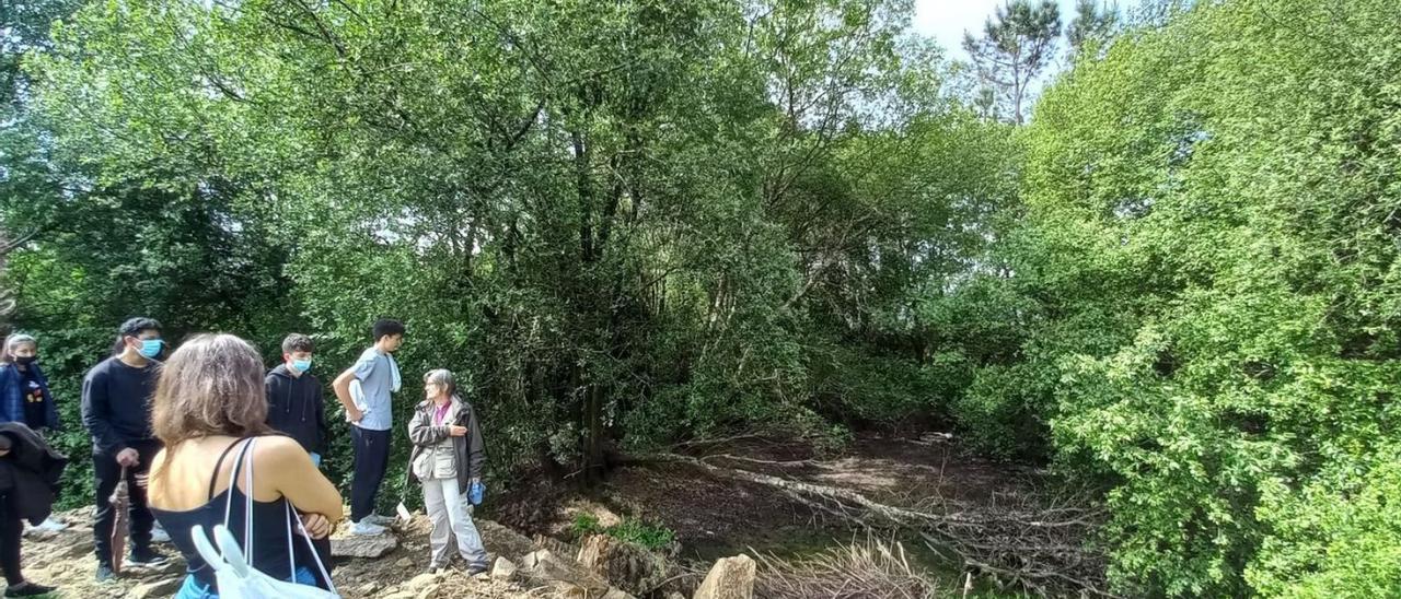 Alumnos de Teis acudieron hace unos días hasta el lugar arqueológico catoirense. |   // FDV