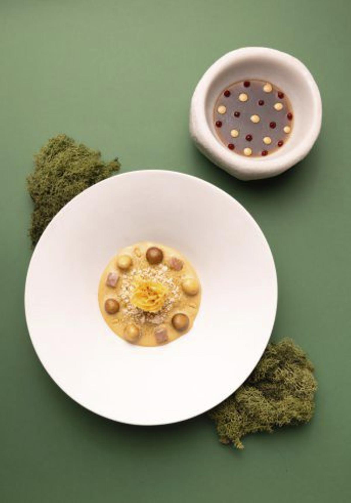 Champignons mit Aal im Restaurant Andreu Genestra.
