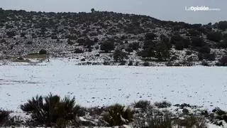 La nieve vuelve a cubrir de blanco el Noroeste de la Región de Murcia