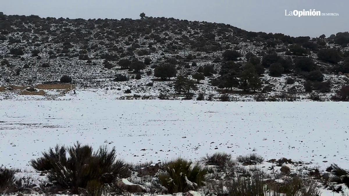 La nieve vuelve a extender su manto blanco en el Noroeste