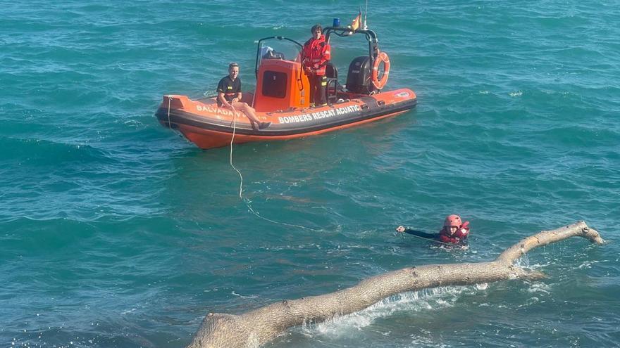 Vídeo: Retiran un tronco de la costa de Peñíscola