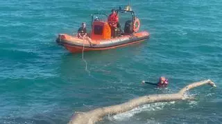 Los bomberos retiran un tronco en la costa de Peñíscola