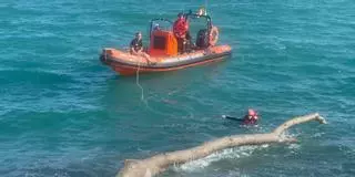 Vídeo: Retiran un tronco de la costa de Peñíscola