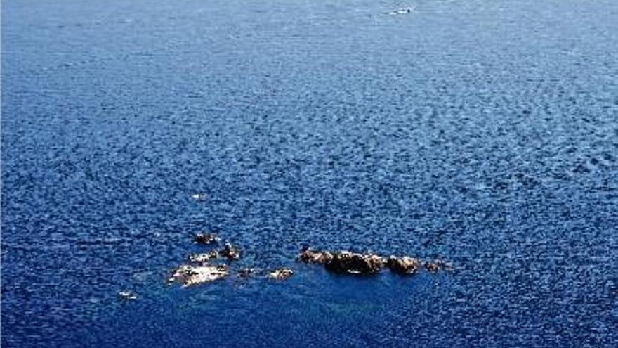 Les illes Formigues les integren 16 illots, cinc dels quals pertanyen a Palamós i la resta, a Palafrugell.