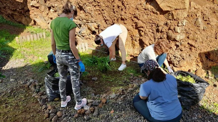 Creación de un huerto sensorial en San Miguel de Geneto. | | E.D.