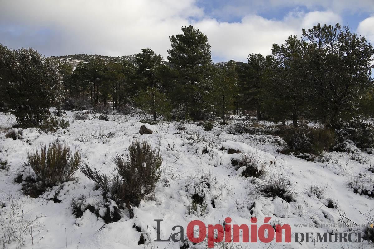 La borrasca Herminia tiñe de blanco la cima de la Región de Murcia