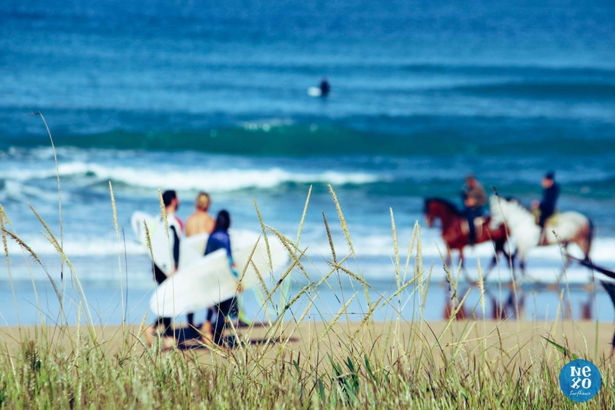 hoteles surf