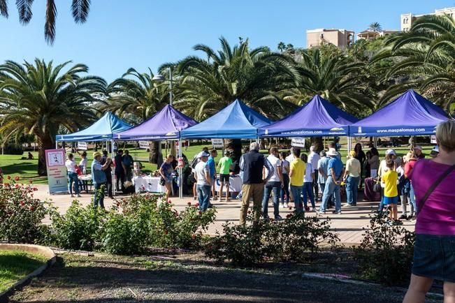 Feria de Mascotas de Maspalomas 2016