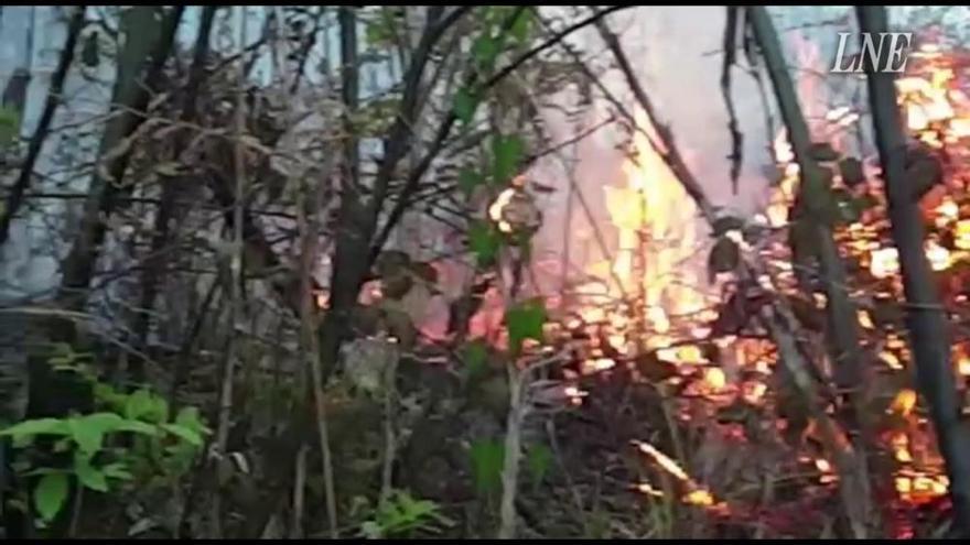 Incendio en el entorno del monte Naranco, en Oviedo