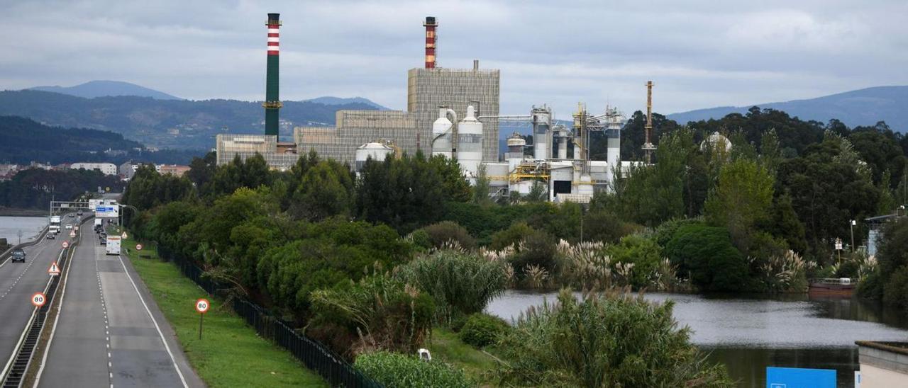 Vista de la fábrica de Ence en Pontevedra desde Os Praceres.