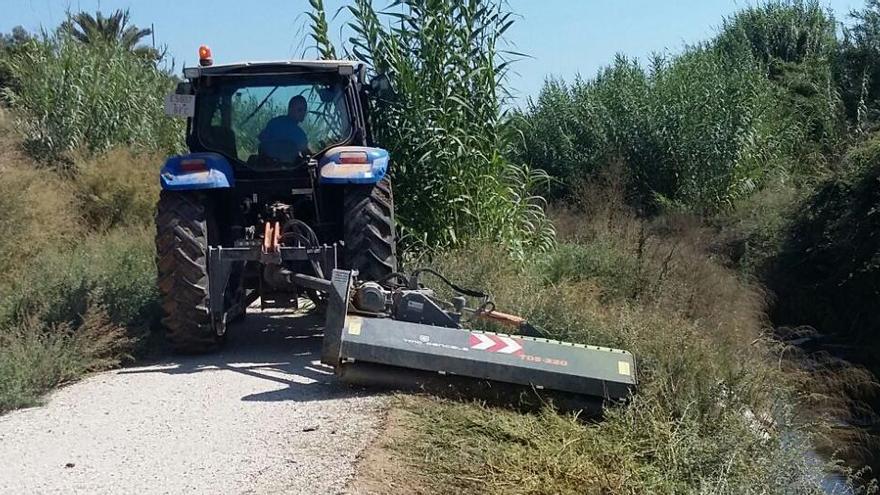 Trabajos de desbroce en el río Tarafa a su paso por Aspe.