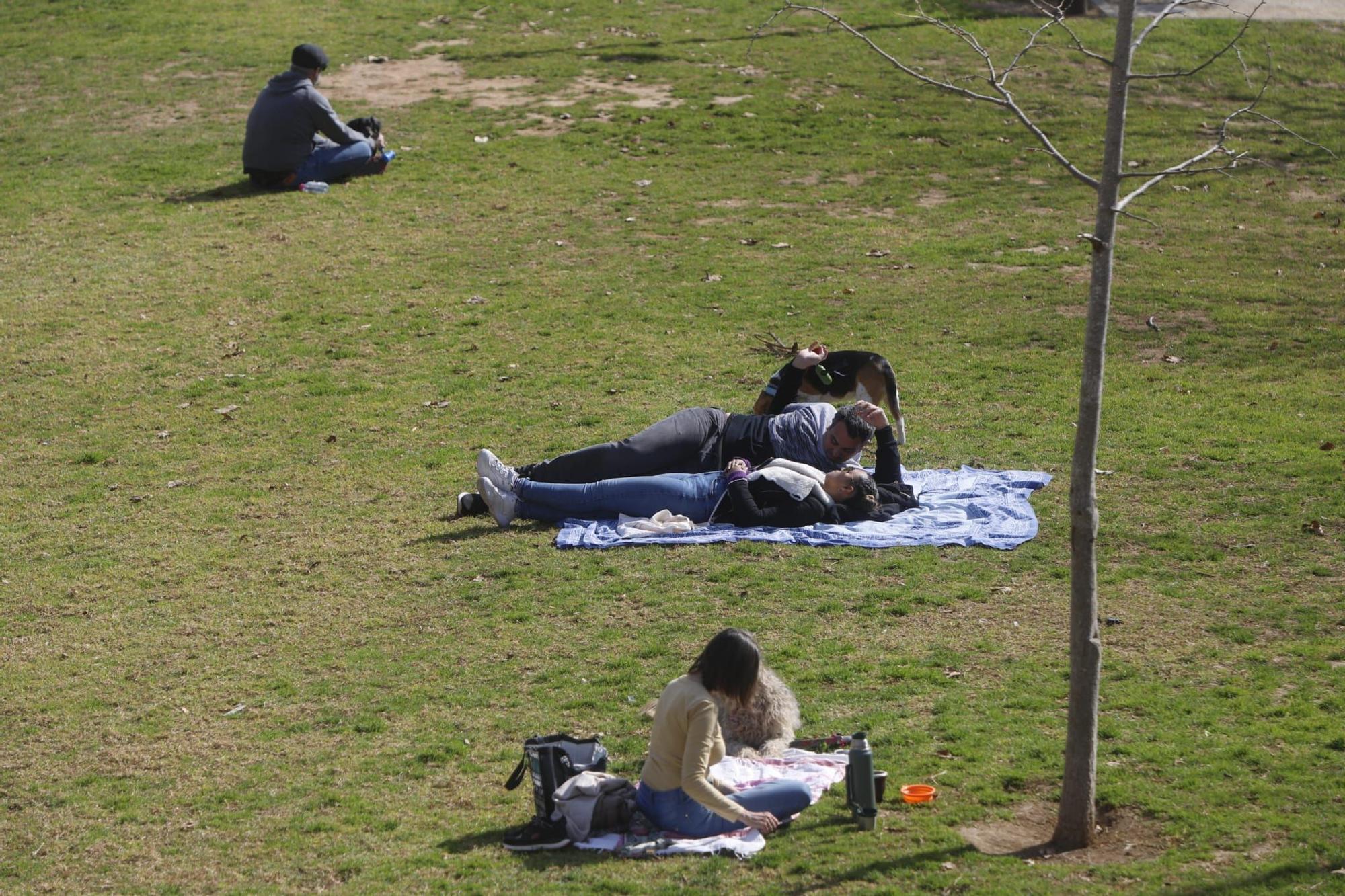 Sol y temperaturas suaves este domingo en València