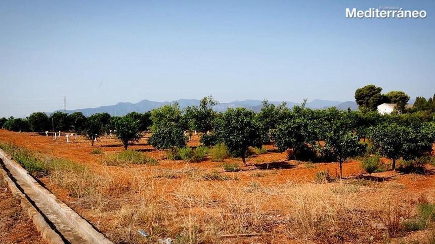 Más de 3.400 agricultores de Castellón recibirán casi 2,4 millones en prestaciones para comprar fertilizantes