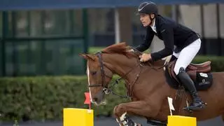 En el interior del CSIO Barcelona de saltos: 'King Edward', la leyenda hecha caballo