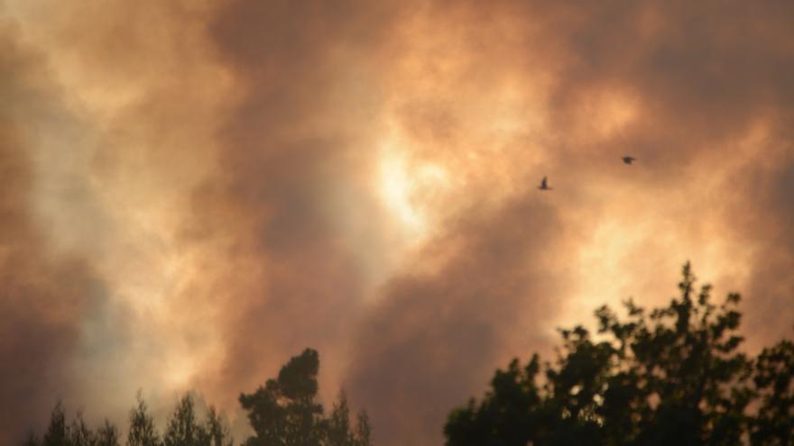 Un incendio quema diez hectáreas en Vilalba
