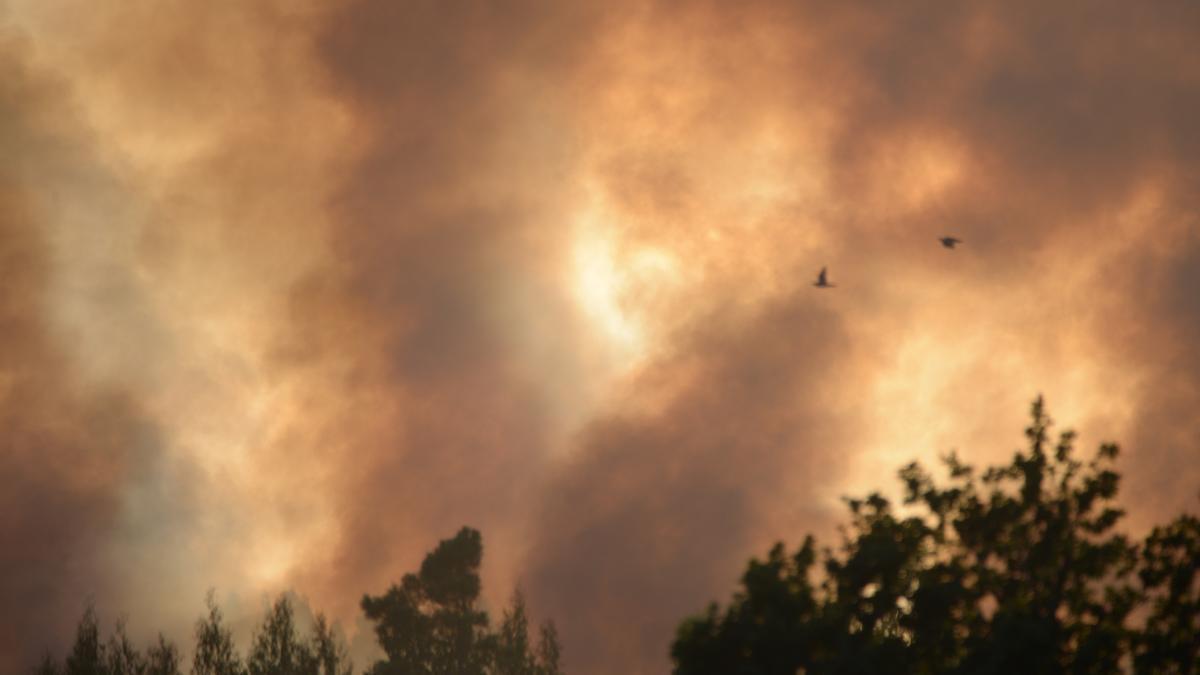 Incendio forestal este domingo en Belesar, en el concello lucense de Vilalba.