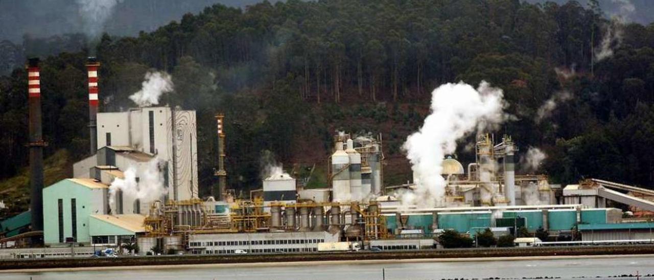 Imagen de la factoría de Ence en Lourizán, en donde se ubicaría la planta de biomasa. // Rafa Vázquez