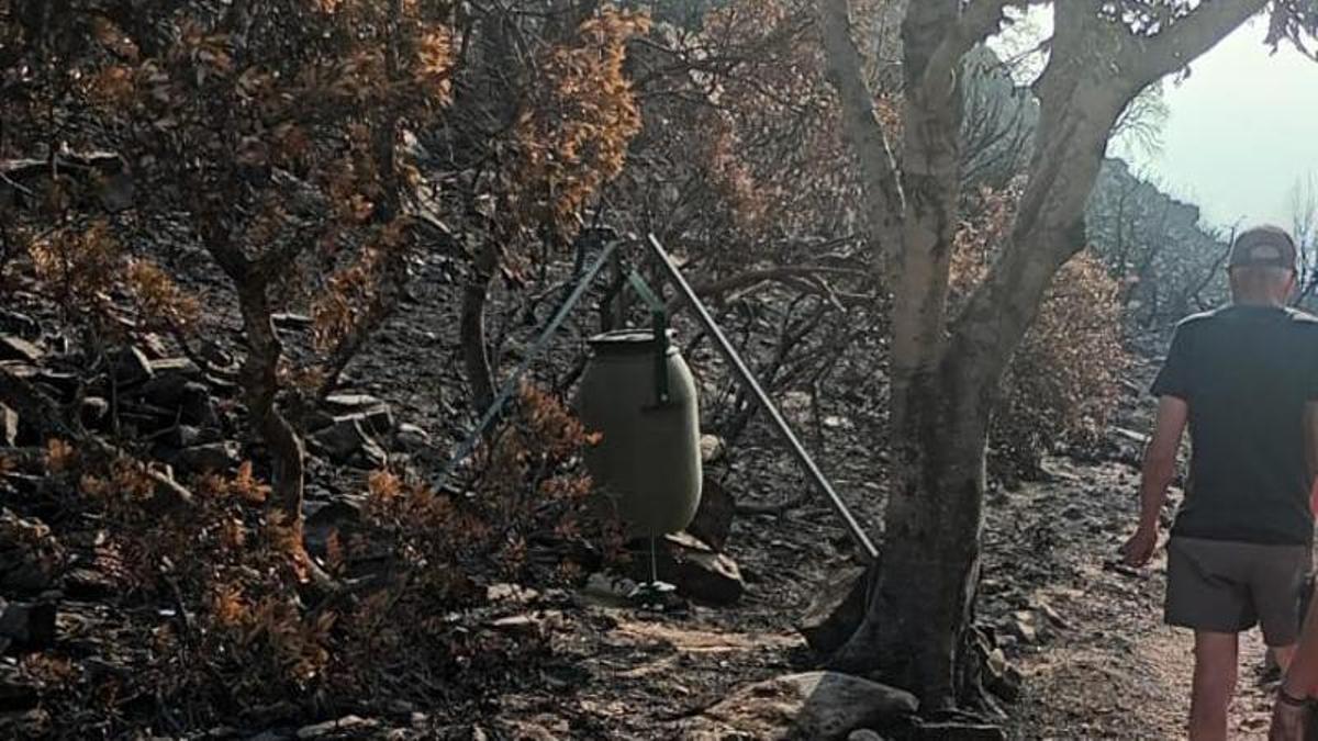Uno de los comederos instalados por los cazadores en terreno de sus cotos para alimentar a la fauna silvestre que ha sobrevivido al incendio.