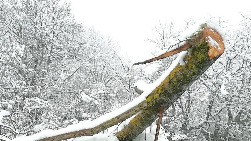 Caos en Quirós por la nieve: un día sin luz ni calefacción