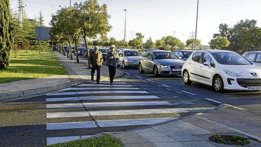 El conductor del camión no vio a la víctima debido a la altura de la cabina