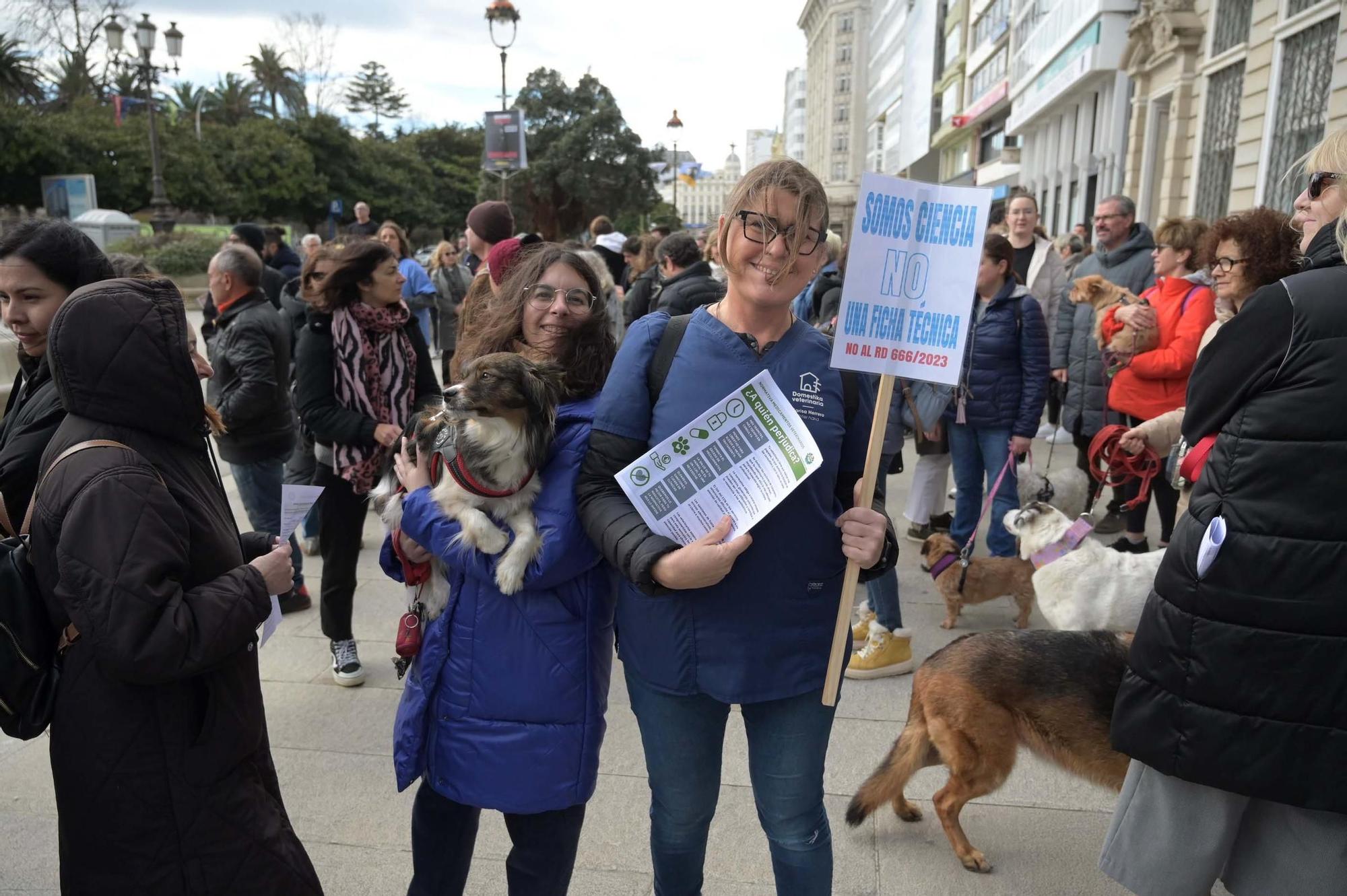 Protesta de veterinarios contra el nuevo decreto del Gobierno que regula el uso de medicamentos