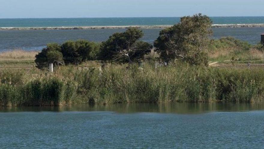 Un hombre se ahoga en el Ebro en Deltebre al intentar salvar a un amigo