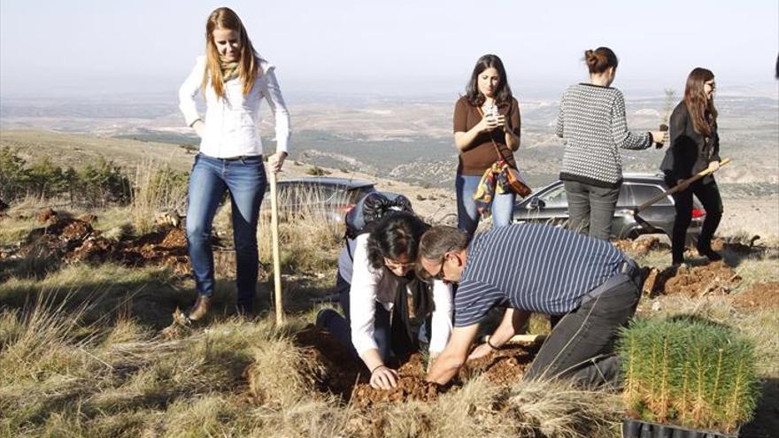 Voluntarios por la reforestación de los bosques