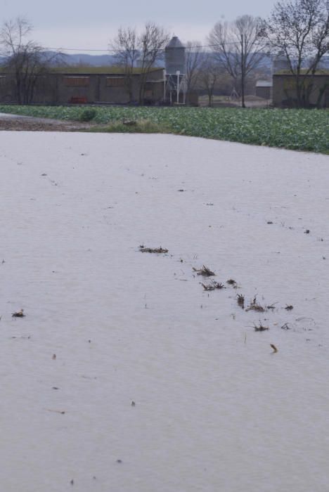 Dilluns de temporal