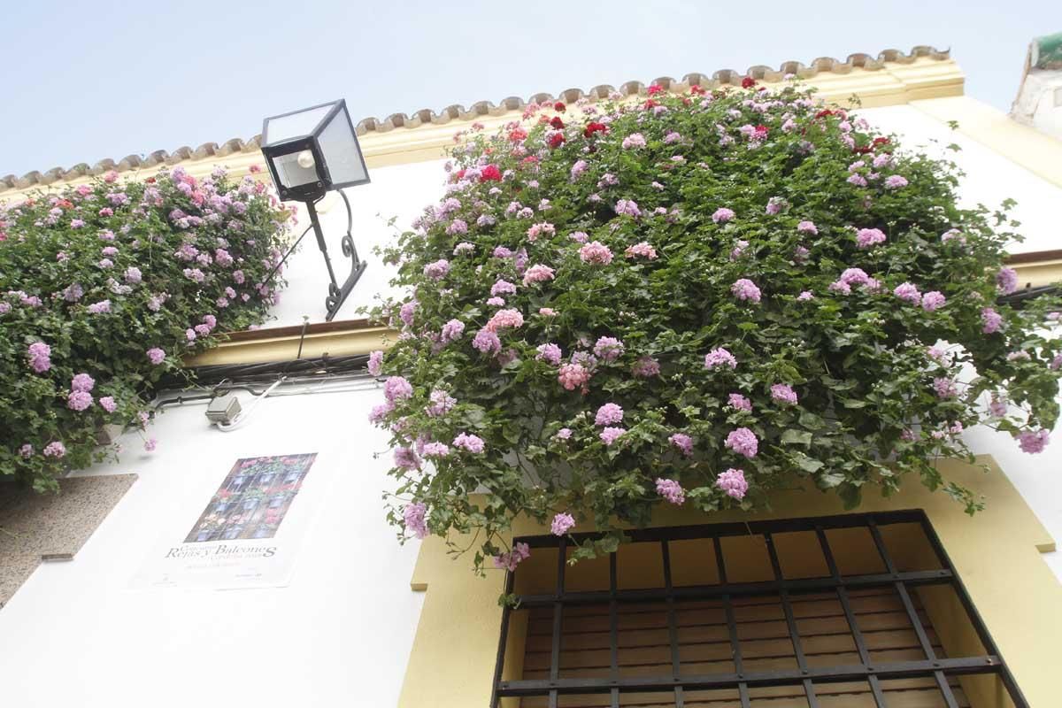 Concurso de Rejas y Balcones en Córdoba