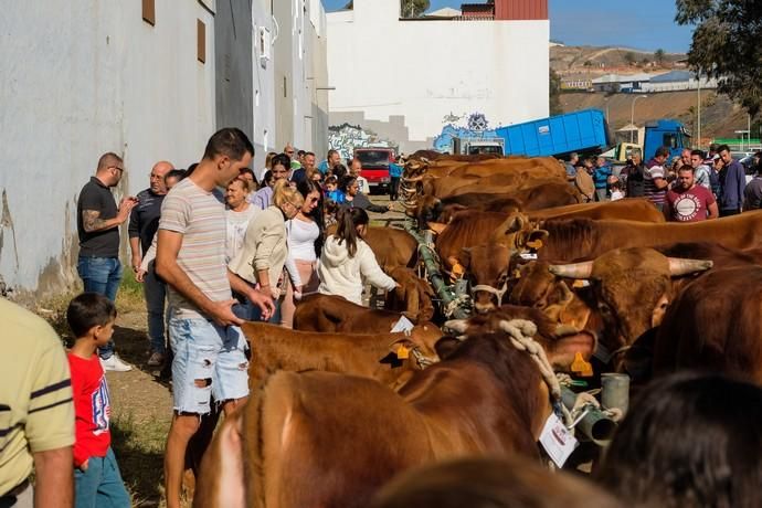 FIESTAS DE JINÁMAR