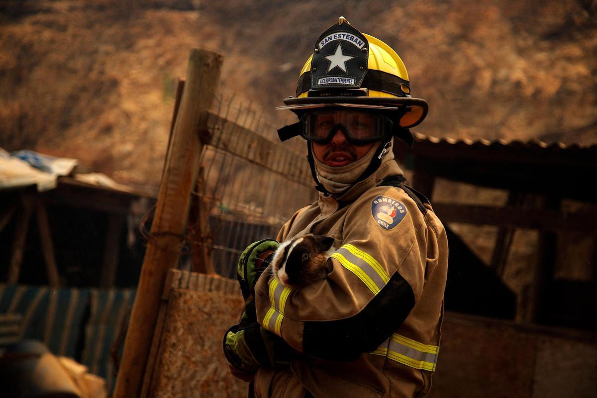 La región de Valparaoso y Viña del Mar, en el centro de Chile, se despertó el sábado con un toque de queda parcial para permitir el movimiento de evacuados y el traslado de equipos de emergencia en medio de una serie de incendios sin precedentes, informaron las autoridades.