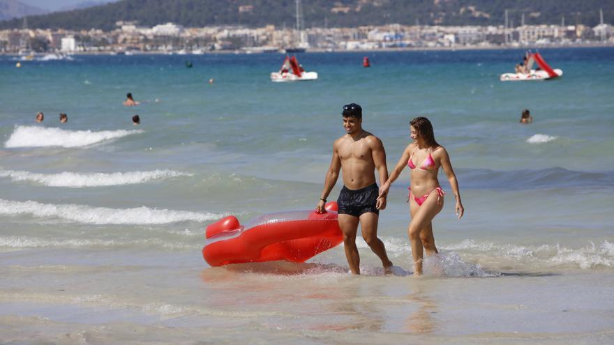 Beißende Fische an Badestränden von Mallorca: Was ist da dran?