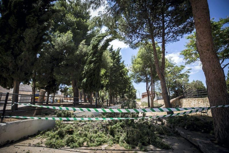 Efectos de la tormenta en Longares