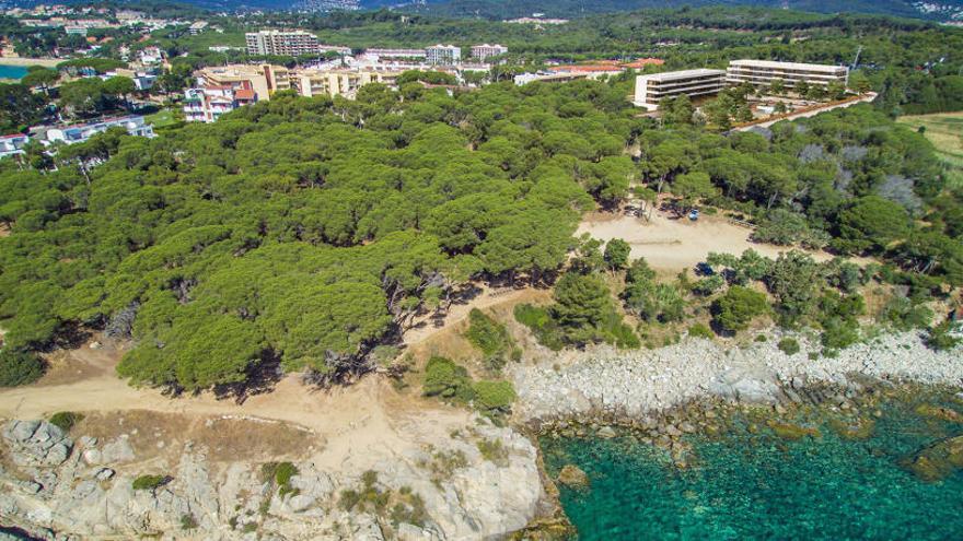 La pineda d&#039;en Gori on s&#039;estan construïnt 48 apartaments de luxe a tocar d&#039;una zona protegida